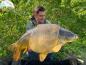 Preview: Milchcreme-Nuss Boilies 1 kg ab (7.49 Euro Grundpreis), siehe Staffelpreise