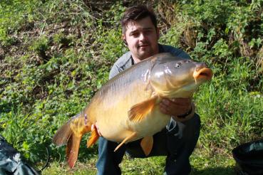 Boilies