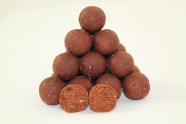 Fish-Mussel Boilies 1 kg ab (9,49 Euro Grundpreis), siehe Staffelpreise