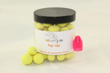 Korallo Pop Ups