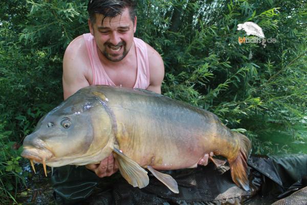 Boilies