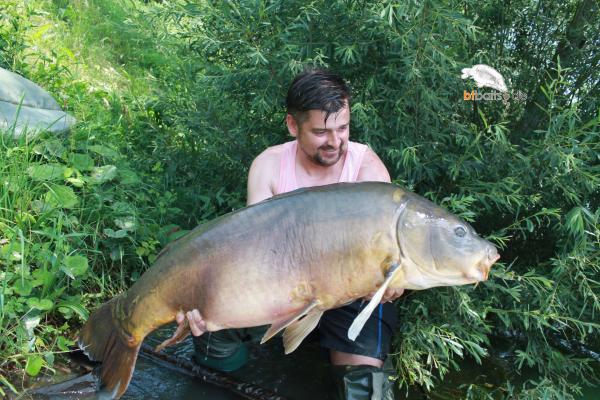 Boilies
