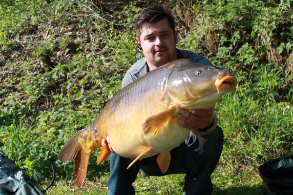 Boilies