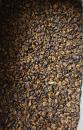 Seidenraupenpuppen 1 kg, (Grundpreis 9,75 €)